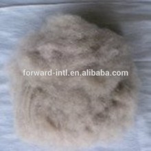 Brown Combed Best Feeling Dehaired Cashmere Fiber