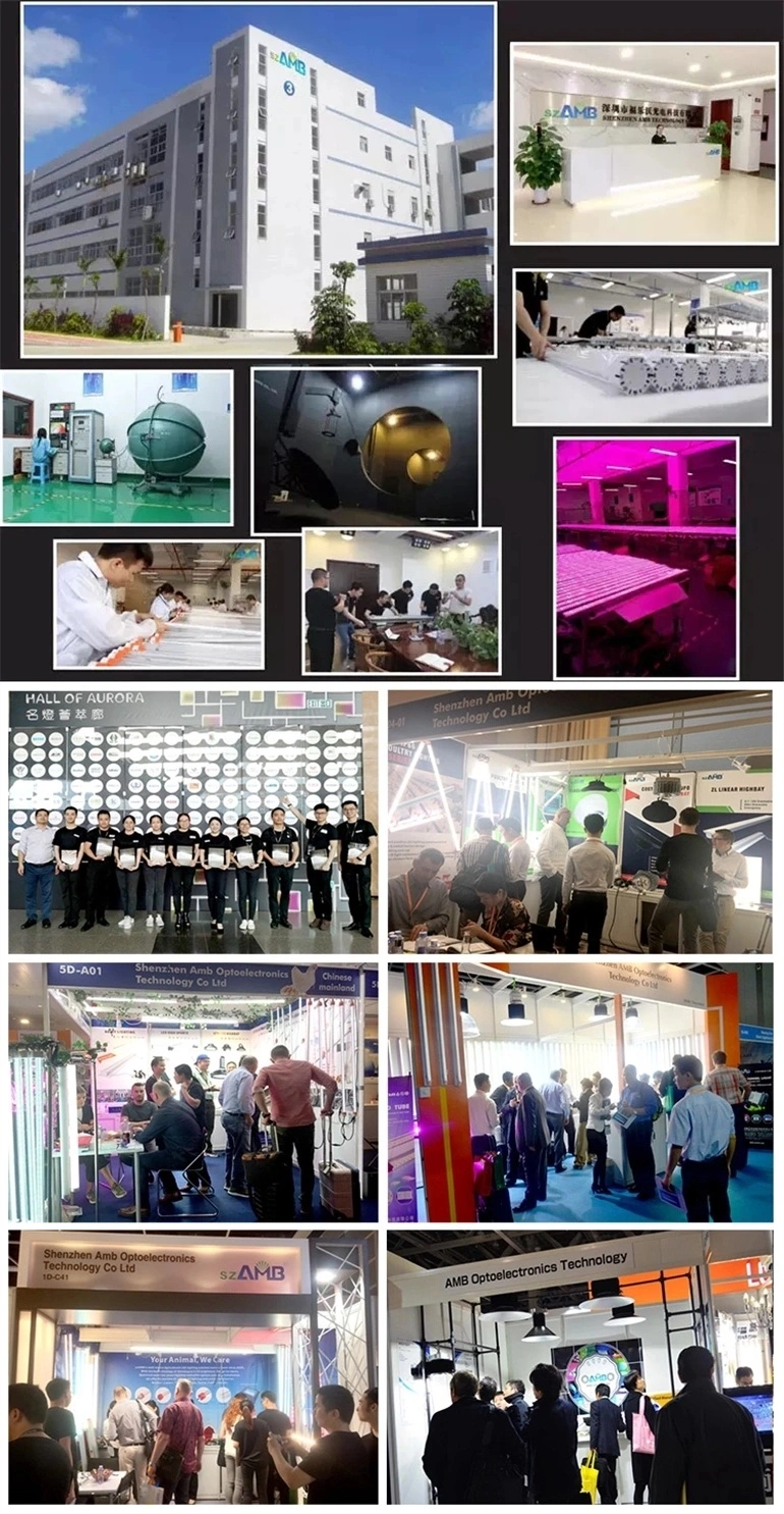 65W 80W 100W 125W Spacecraft Linear Light for Warehouse, Parking Lot, Factory