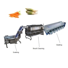 Industrial Automatic Carrot Washing, Sorting, and Packing Line
