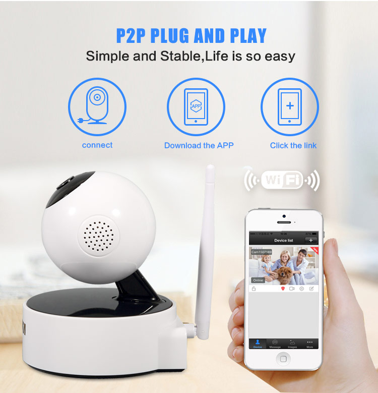 p2p ip camera