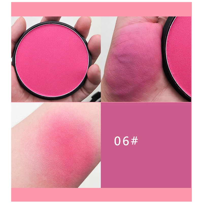 Wholesale Cosmetics Powder Blusher Custom Logo Multi Color Blush