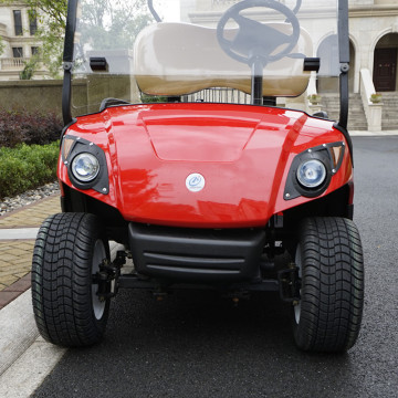 Carrello da golf a benzina 300CC 2 posti