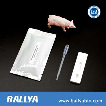 Animal disease diagnostics test kit rapid Mycoplasma Hyopneumoniae Antibody rapid test kit/Swine disease test kit