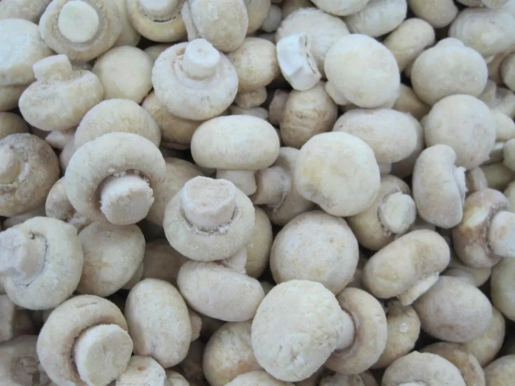 IQF Frozen Champignon Mushroom Whole