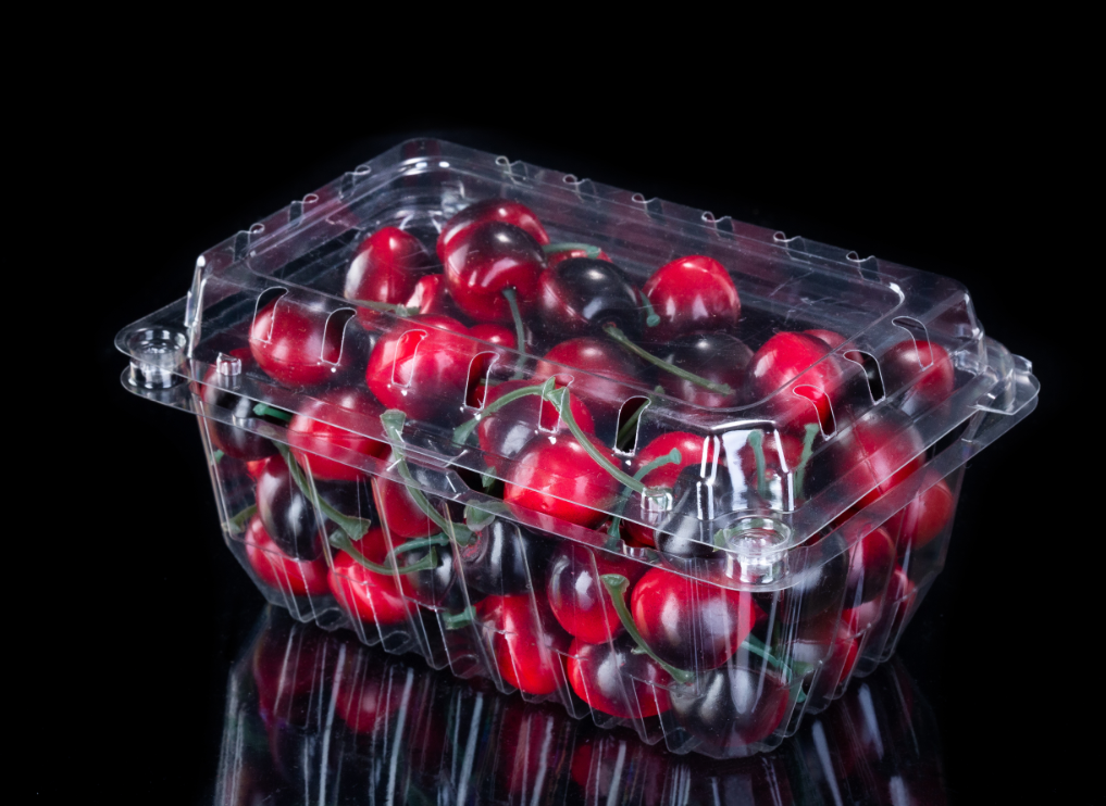 Fruit Plastic Container in the Refrigerator