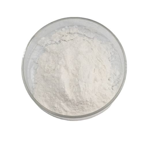 Massenpreis Food Grade Galactosidase Alpha Food Additive