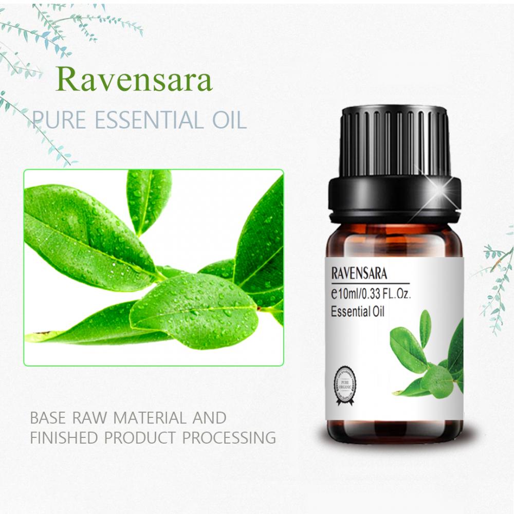 Etiqueta privada mayorista de grado terapéutico 10 ml de aceite Ravensara