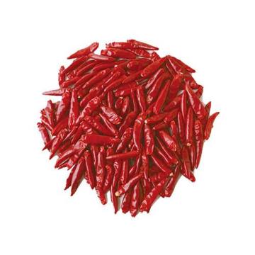 Roter chaotischer Chili des besten Preises hoher Qualität