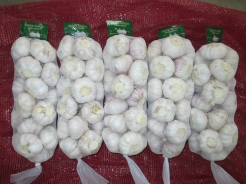 Normal White Garlic Low Price Crop 2020