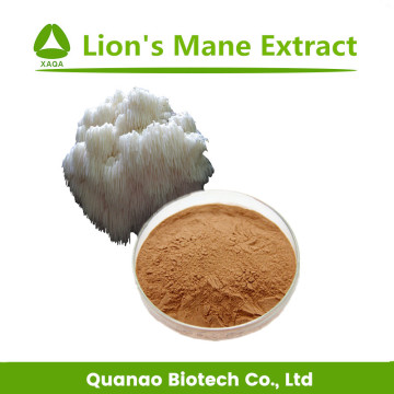 Hericium Erinaceus / León MANE MUSHROOM EXTRACT POWDER 10: 1