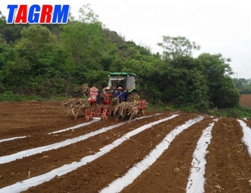 Sugar cane planting machine / planter