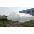 Film Single span greenhouse for vegetables