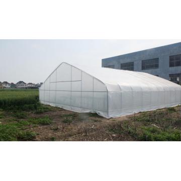 Industrial Greenhouse High quality steel structure