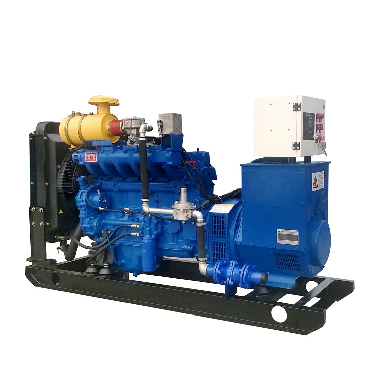 Perfect Durability Natural Gas Engine