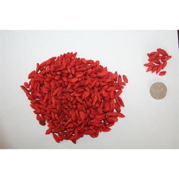 Ningxia High Quality Wholesale  Bulk goji berry