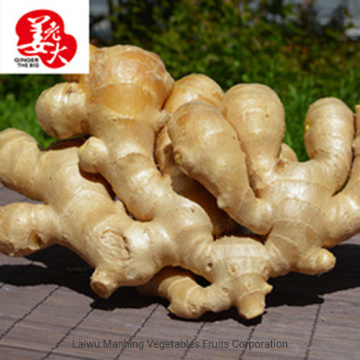 Fresh Ginger Vegetables Bags Packing