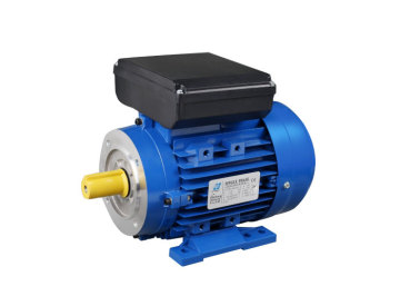 ML Single-phase two-value capacitor motor