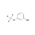 3- (Trifluormethoxy) phenol CAS Nr. 827-99-6