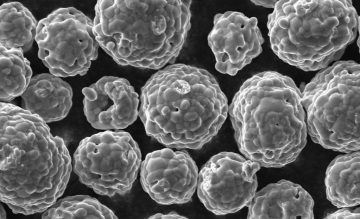 WC-CoCr Fine Tungsten Carbide Powder