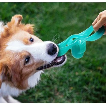 Perro frisbee volando interactivo disco mascota juguetes