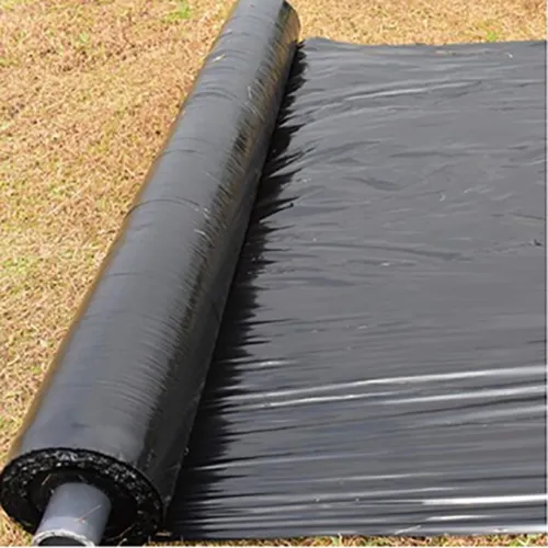 Film Pertanian PE Pertanian Black Mulch Film