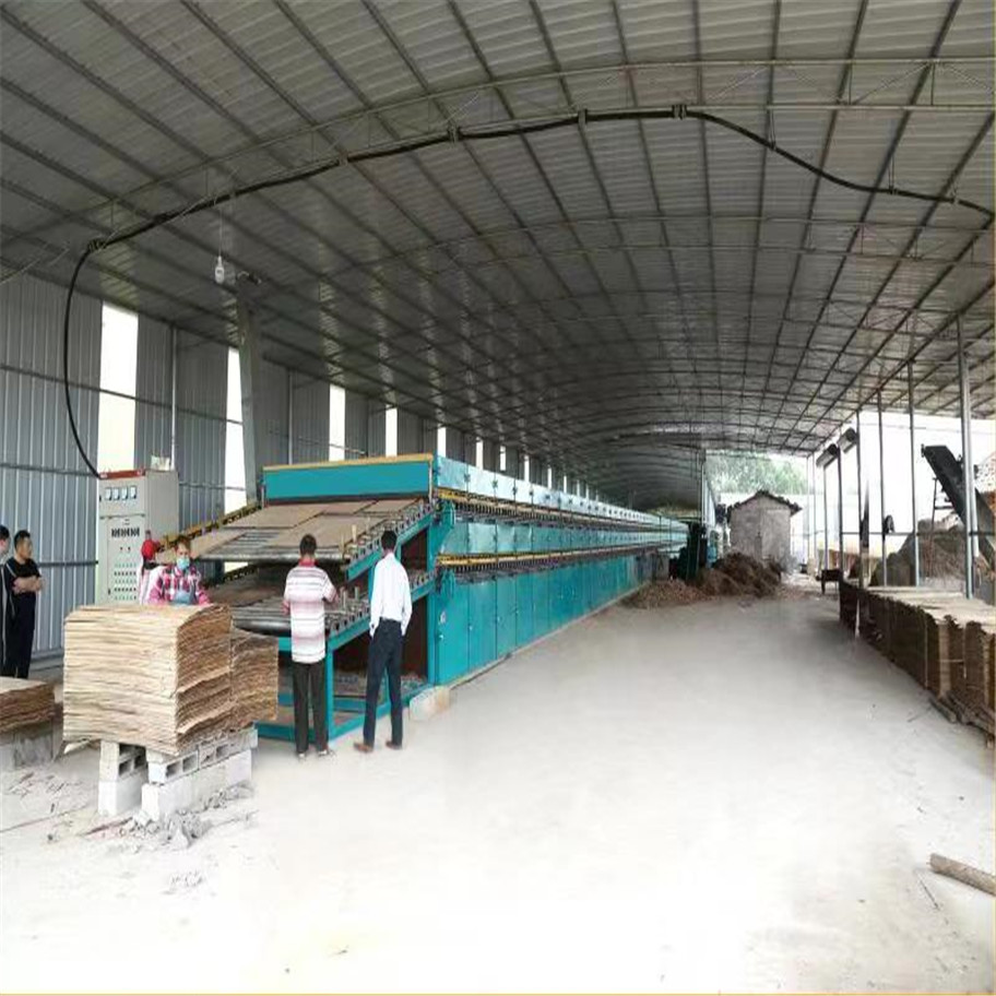 Veneer Drying Machine