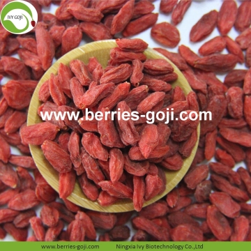 Supply Nutrition Dry Fruit Super Food Wolfberries