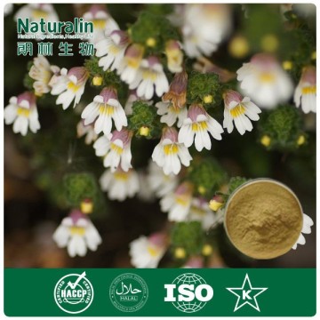 100% Natural Eyebright Herb Extract by TLC