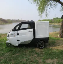 Electric 3 Wheel Mini Van for Logistics