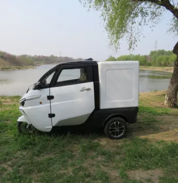 Electric 3 Wheel Mini Van for Logistics