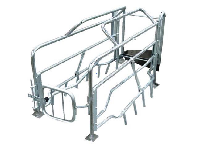 Caisses de mise bas Tube Farrowing Crates