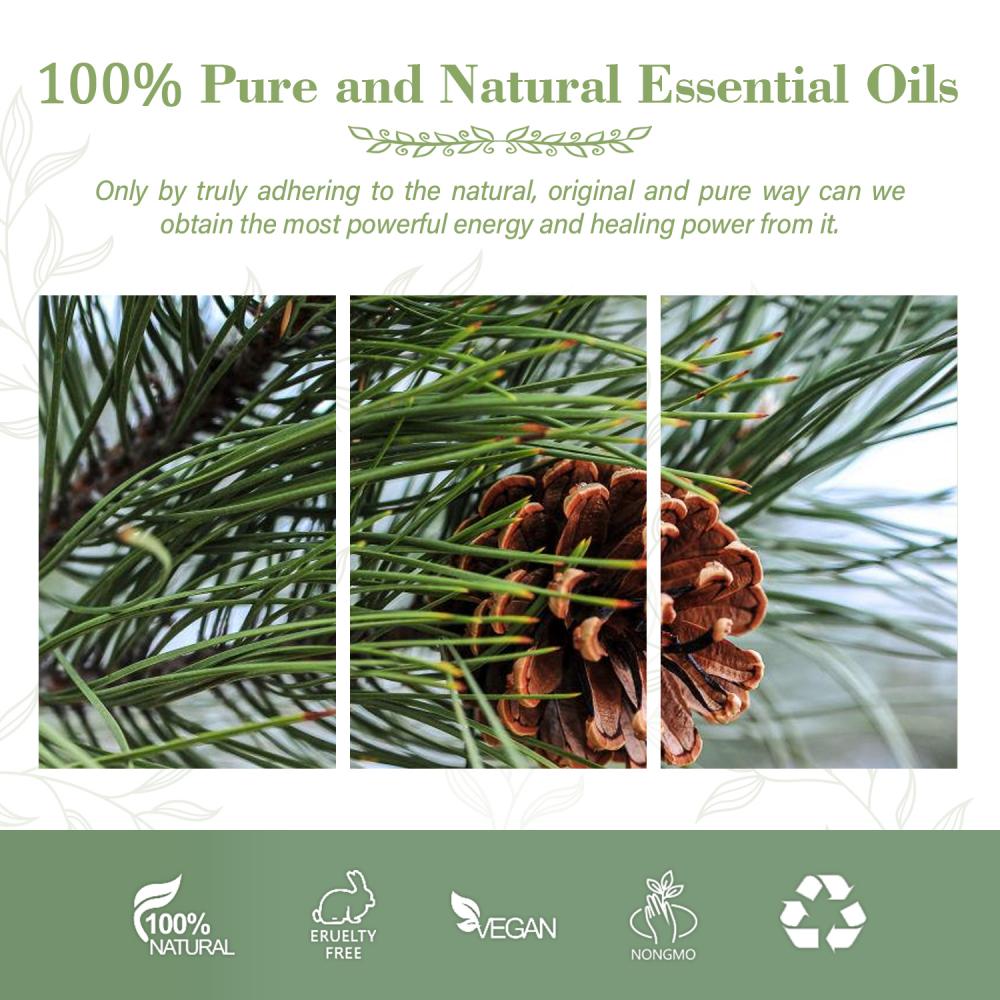 Wholesale 100% Pure Natural Pine Oil Plant Extract For Clean