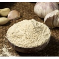 nature garlic powder EU quality