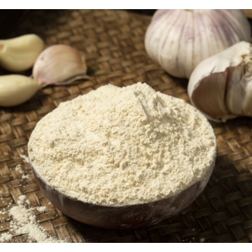 nature garlic powder EU quality