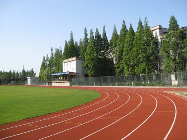 بالطبع مركب Compound course