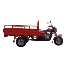 Custom Motorized Tricycles and Other Tricycles