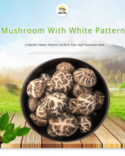 Mushroom With White Pattern