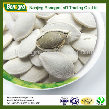 roasted & salted pumpkin seed China origin size 10.5cm snow white