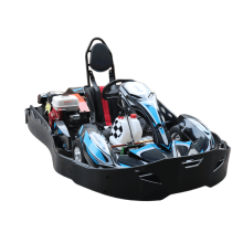 Adult Petrol Go Karts: High Quality 200cc/270cc EGS Fast Go Karts