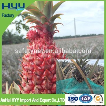 Hot sale HDPE pineapple fruit shade net manufacturer