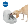 Cat and Dog Water Fountain