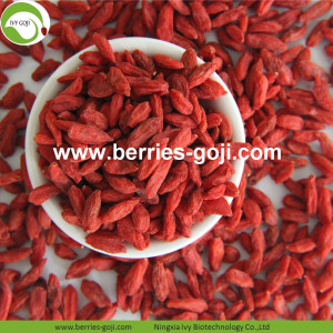 Top Grade Hot Sale Kering Tibet Goji Berry