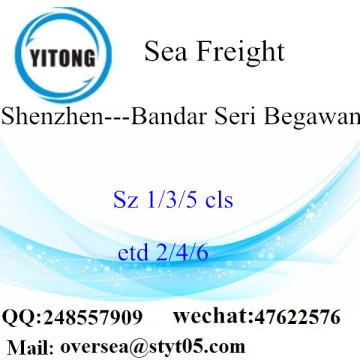 Shenzhen Port LCL Consolidation To Bandar Seri Begawan