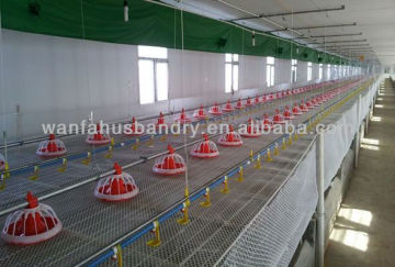 Automatic Equipment For Poultry Farming