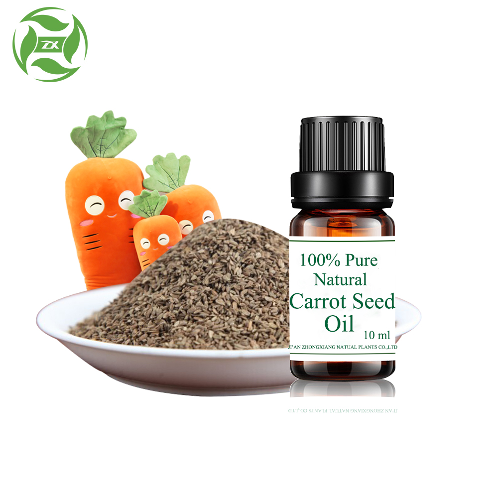 Factory directly privide Carrot Seed Essential Oil