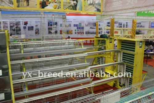 chicken cage factory for poultry farm automatic layer chicken cage