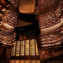 Shinelong Custom Modern Wine Cellar Restaurants Wall Glass Wine Cellar Cooler