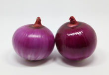 Round fresh red onions with good quality