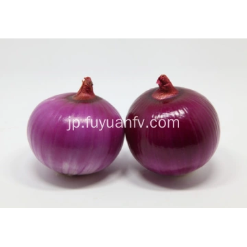 レッドタマネギ 生のタマネギ 新鮮なレッドタマネギの製造業者と中国のサプライヤー