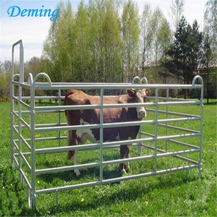 Hot Sale Galvanized Horse Perimeter Fencing